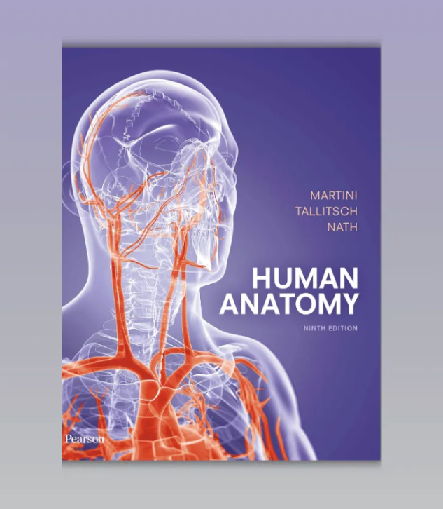 Complete Human Anatomy, 9th Edition – Martini Tallitsch & Nath (Digital Download)